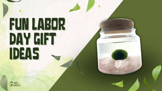 Best Labor Day Gift Ideas for Employees and Coworkers in 2025