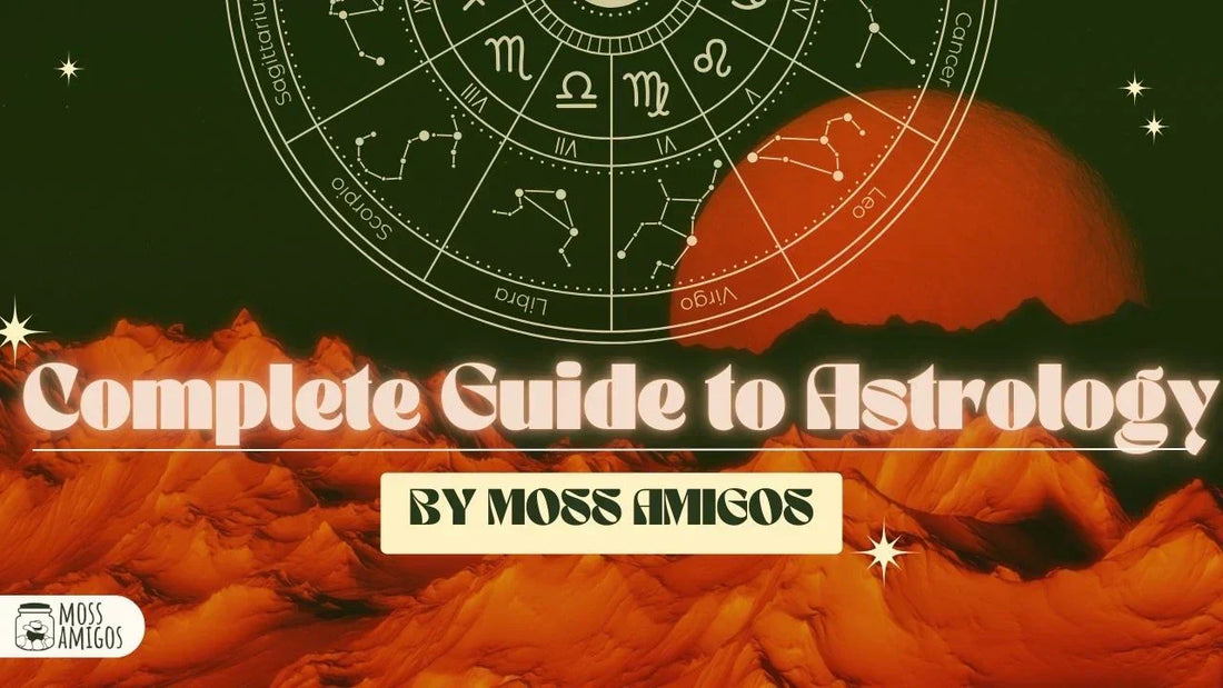 The Complete Guide to Astrology & Its Moss Amigos Connection