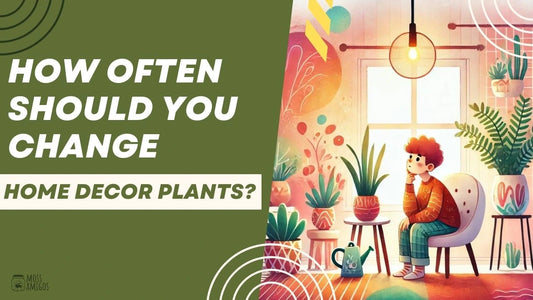 How Often Should You Change Home Decor Plants? Let’s Find Out