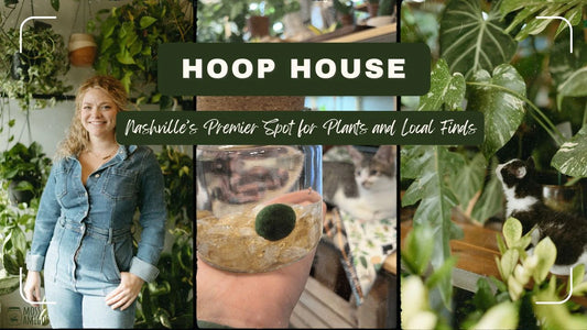 Hoop House: Nashville’s Premier Spot for Plants and Local Finds