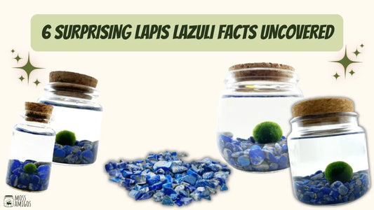 6 Surprising Lapis Lazuli Facts Uncovered