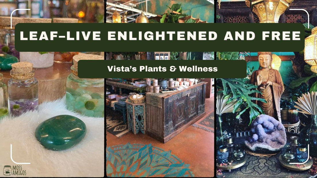 Leaf–Live Enlightened and Free: Vista’s Plants & Wellness