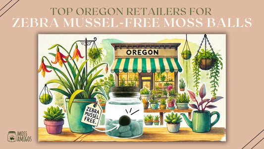 Top Oregon Retailers for Zebra Mussel-Free Moss Balls