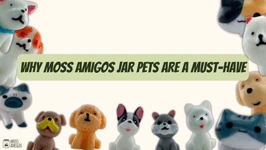 Why Moss Amigos Jar Pets Are a Must-Have