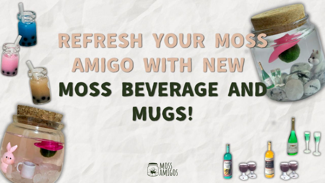 Refresh Your Moss Amigo with New Moss Beverage and Mugs!