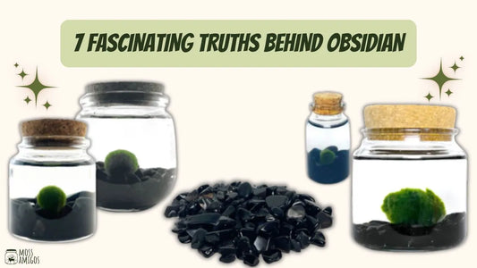 7 Fascinating Truths Behind Obsidian
