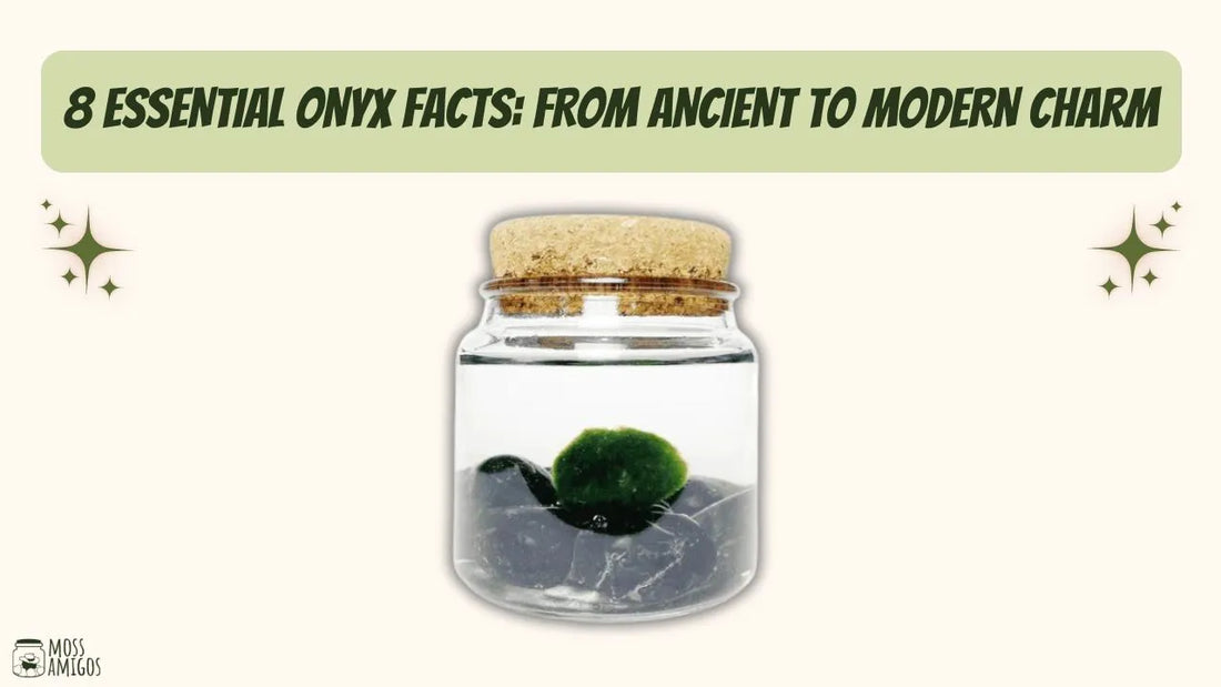 8 Essential Onyx Facts: From Ancient to Modern Charm