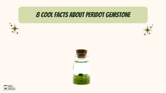 8 Cool Facts About Peridot Gemstone