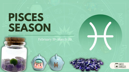 Pisces Season Meets Moss Amigos