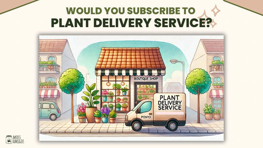 Is a Plant Delivery Service the Next Big Trend for Boutiques?