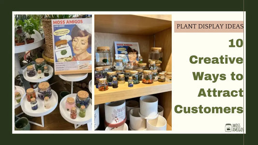 Plant Display Ideas: 10 Creative Ways to Attract Customers