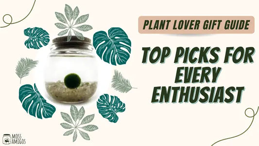 Plant Lover Gift Guide