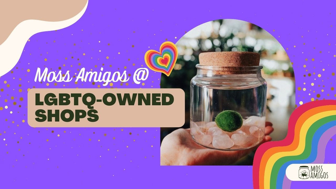 Top LGBTQ-Owned Stores for Moss Amigos Pride Gifts