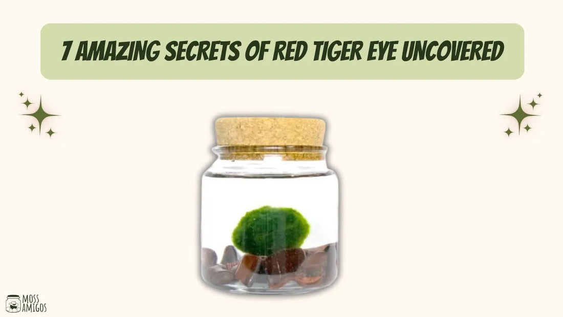 7 Amazing Secrets of Red Tiger Eye Uncovered