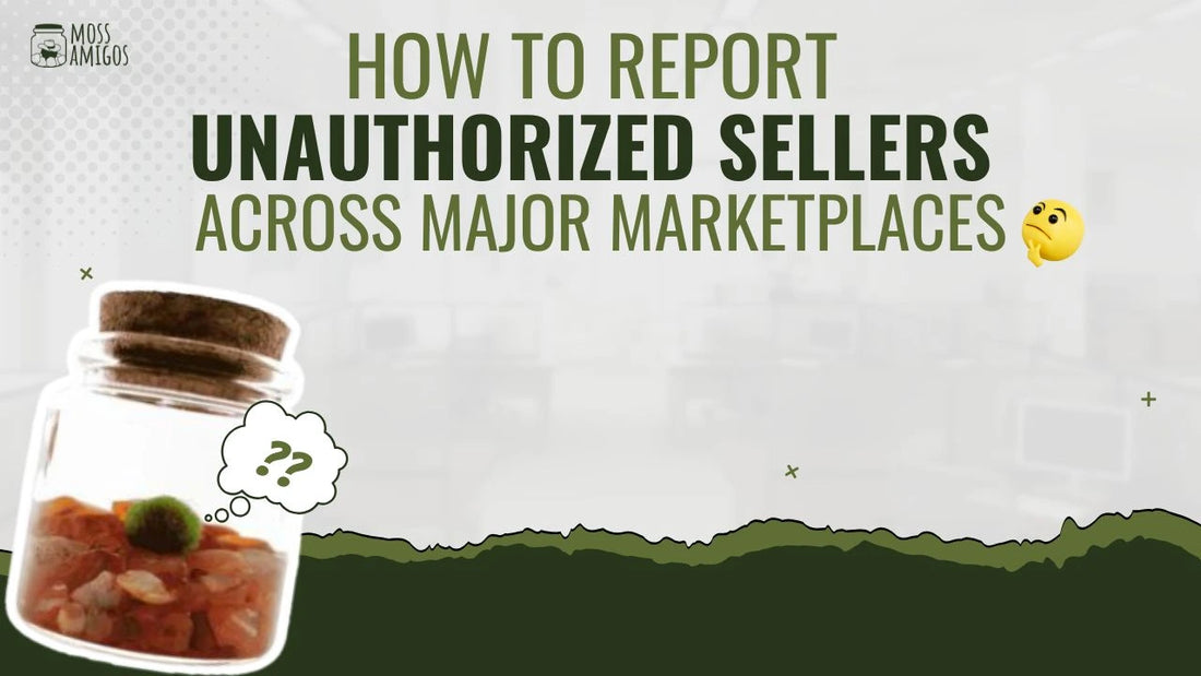 How to Report Unauthorized Sellers Across Major Marketplaces