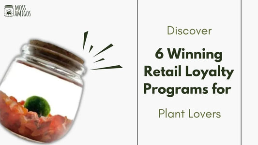 Discover 6 Winning Retail Loyalty Programs for Plant Lovers