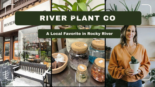 River Plant Co: A Local Favorite in Rocky River