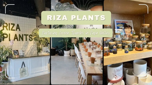 Riza Plants: Nurturing Green Thumbs in Napa Valley