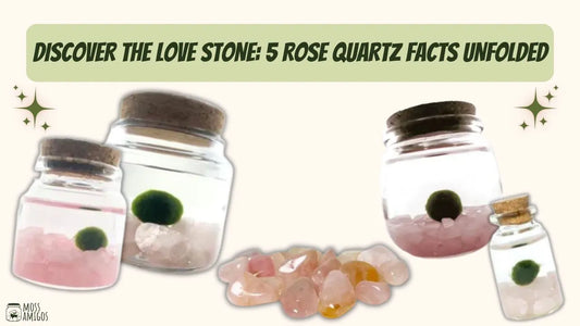 Discover the Love Stone: 5 Rose Quartz Facts Unfolded