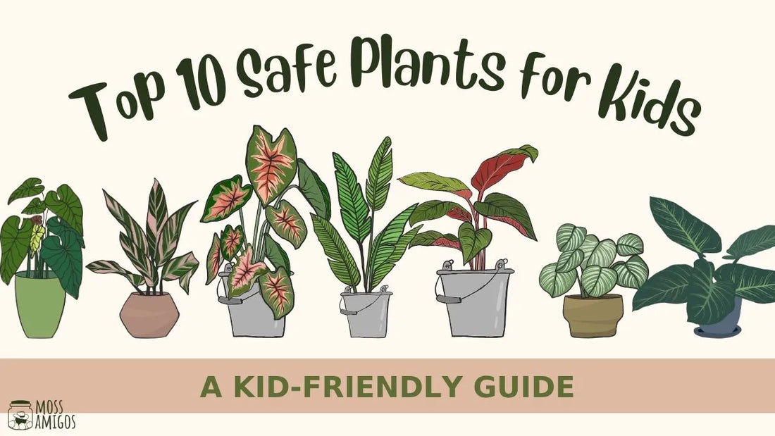 Top 10 Safe Plants for Kids: A Kid-Friendly Guide