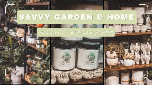 Savvy Garden and Home – Your Go-To Plant Store in Arlington