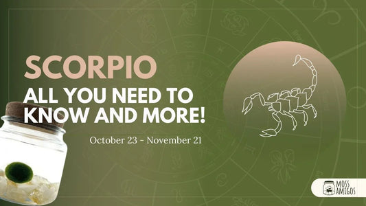 Scorpio Birthstone: All You Need to Know and More