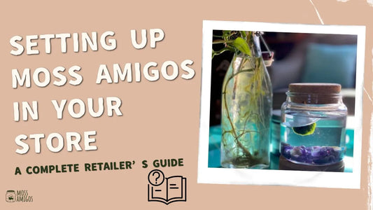 Setting Up Moss Amigos In Your Store: A Complete Retailer’s Guide