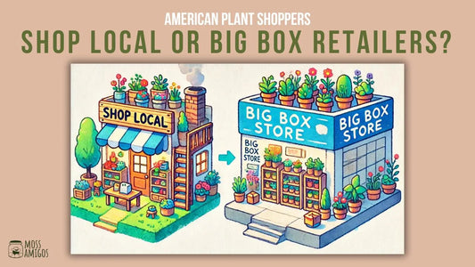 American Plant Shoppers: Shop Local or Big Box Retailers?