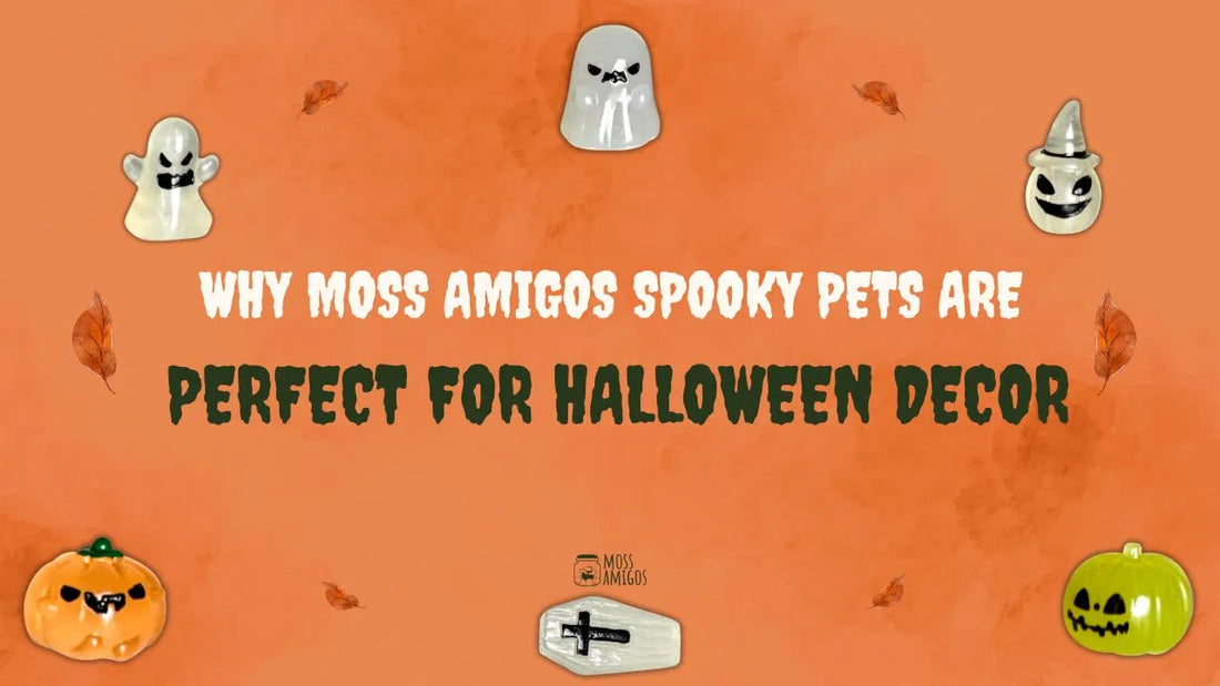 Why Moss Amigos Spooky Pets Are Perfect for Halloween Decor