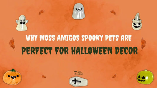 Why Moss Amigos Spooky Pets Are Perfect for Halloween Decor