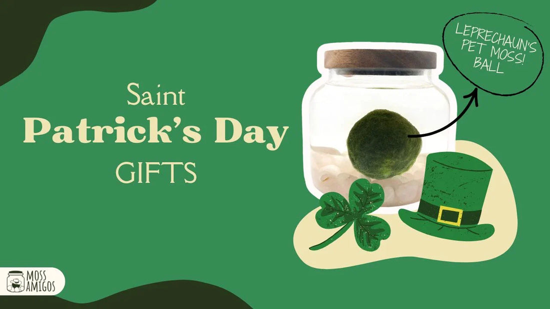St. Patrick’s Day Gifts: Lucky, Green, and Something Unique