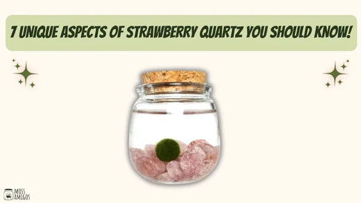 7 Unique Aspects of Strawberry Quartz You Should Know!