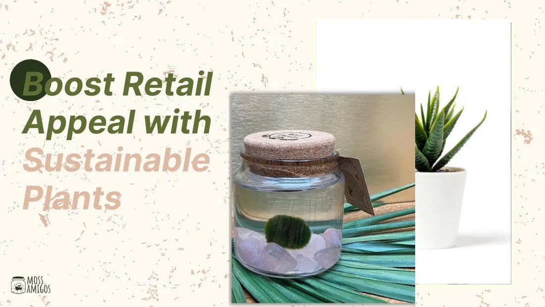 2024 Guide: Boost Retail Appeal with Sustainable Plants