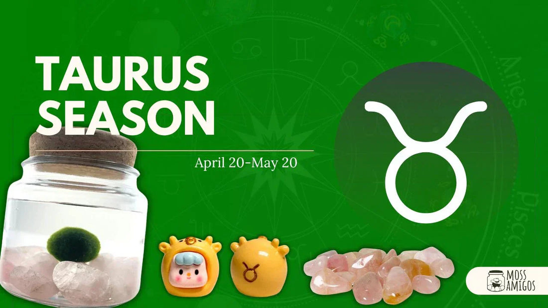 Taurus Season + Moss Amigos: Grounded Zodiac Companions