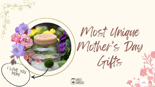 Most Unique Mother's Day Gifts 2025