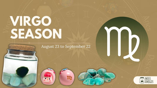 Virgo Season and Moss Amigos: Calm, Clear, Grounded