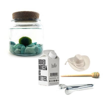 Combo Amazonite Moss Amigo with White country hat and silver tong.