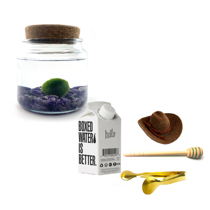 Combo Moss Amigo with brown country hat and gold tong.