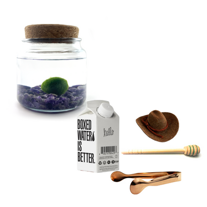 Combo Moss Amigo with brown country hat and rose gold tong.