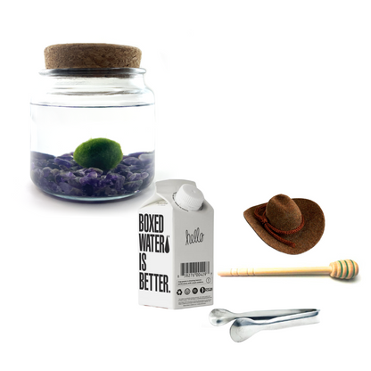 Combo Moss Amigo with brown country hat and silver tong.