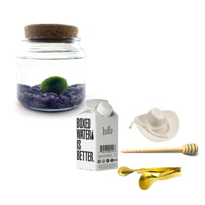 Combo Moss Amigo with white country hat and gold tong.