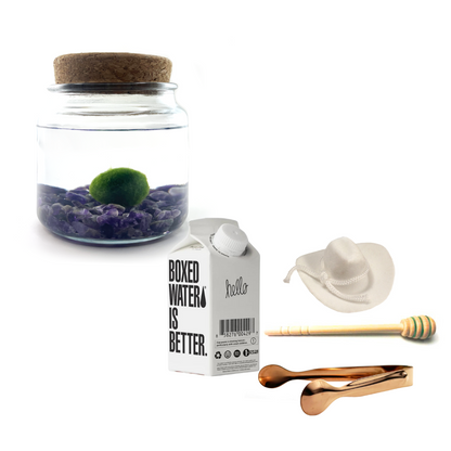 Combo Moss Amigo with white country hat and rose gold tong.
