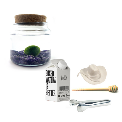 Combo Moss Amigo with white country hat and silver tong.