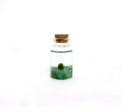 Close-up of Moss Nino with Aventurine gemstone in a Nino Jar.