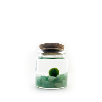 Moss Rico with Aventurine gemstones.