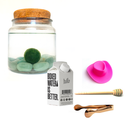 Combo Aventurine Moss Amigo with pink country hat and rose gold tong.