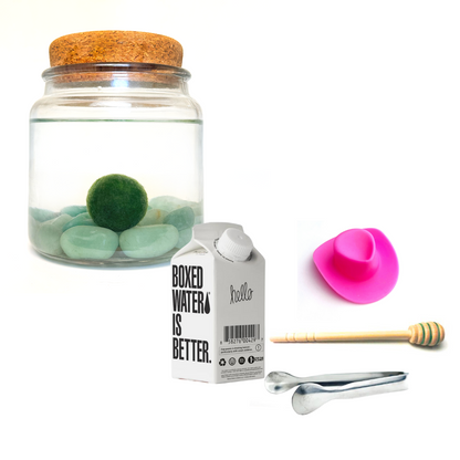 Combo Aventurine Moss Amigo with pink country hat and silver tong.