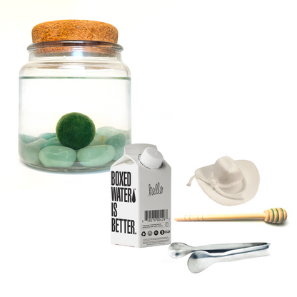 Combo Aventurine Moss Amigo with white country hat and silver tong.