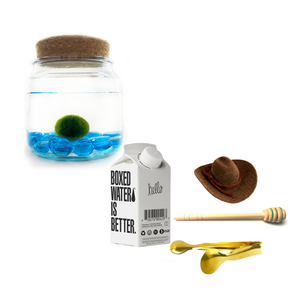 Combo Blue Glass Moss Amigo with Brown country hat and gold tong.