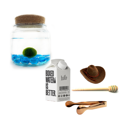 Combo Blue Glass Moss Amigo with Brown country hat and rose gold tong.